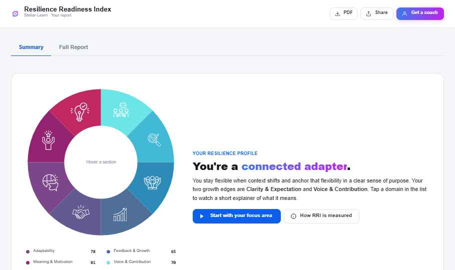 RRI report summary — eight-domain resilience wheel and learner profile